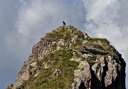 48 Sul cocuzzolo della montagna probabile corvo imperiale 